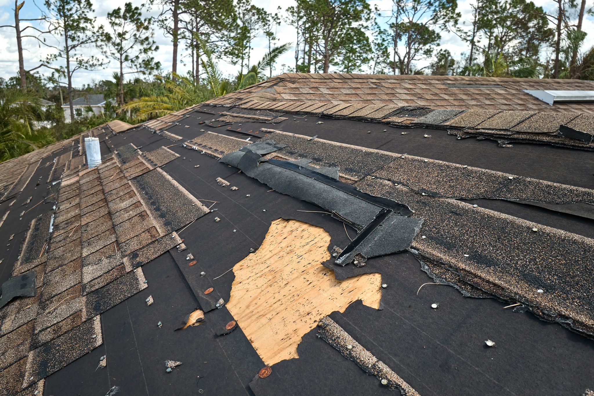 Flood Damage in Tampa